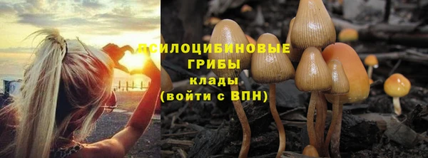 твердый Белокуриха