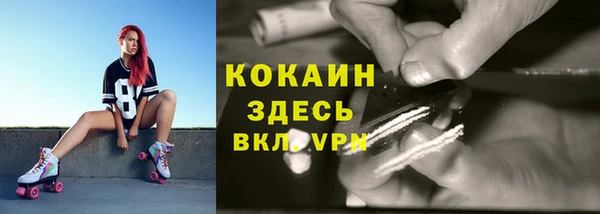 твердый Белокуриха