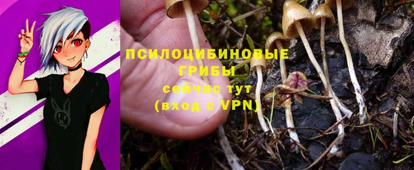 прущий лед Беломорск