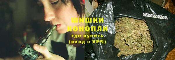 прущие грибы Балабаново