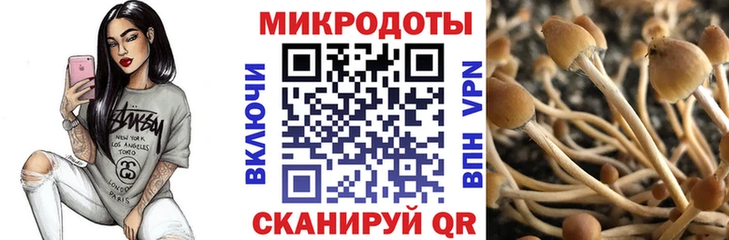 Псилоцибиновые грибы Psilocybe  blacksprut зеркало  Елабуга 